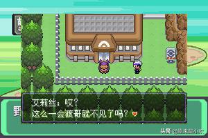 口袋妖怪2（口袋妖怪2016破解版全宠物）