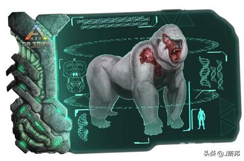 什么游戏特别好玩(哪种游戏很好玩)