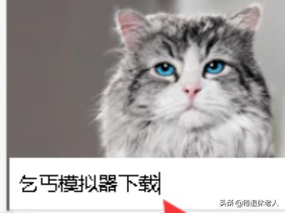 流浪汉模拟器(流浪汉模拟器官方正版免费)